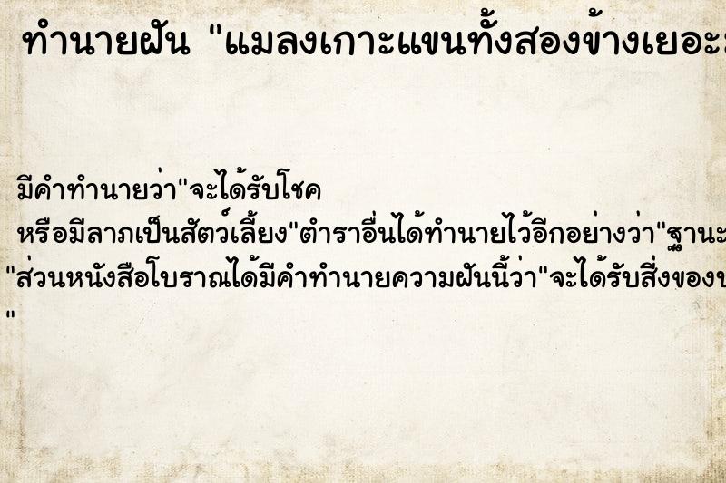 ทำนายฝันทำนายฝันแมลงเกาะแขนทั้งสองข้างเยอะมาก